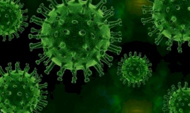 Koronavirüs mutasyonu: Daha hızlı ve daha ölümcül