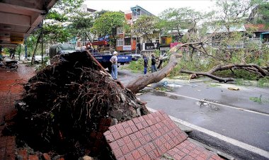 Vietnam'daki Malove tayfununda ölenlerin sayısı 19'a yükseldi