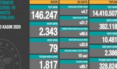 Türkiye'de koronavirüsten 79 can kaybı, 2343 yeni vaka