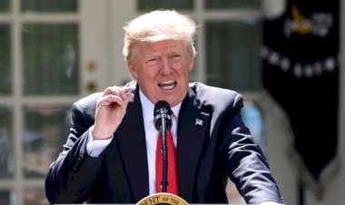 Trump'tan seçim sonuçlarına ilk tepki