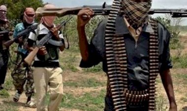 Nijerya'da köylülere baskın: 16 kadın kaçırıldı