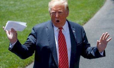 Trump: Seçimi 71 milyon yasal oyla ben kazandım