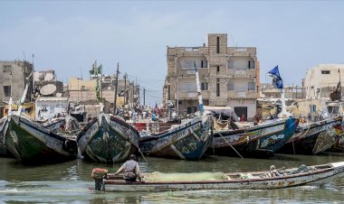 Thiaroye Katliamı: Fransa'nın açtığı 76 yıldır iyileşmeyen yara