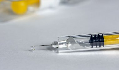 Brezilya, Çin'in geliştirdiği Kovid-19 aşı adayının deneylerini durdurdu