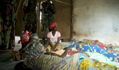 Nijerya'da sarı humma salgınında ölü sayısı 95'e yükseldi