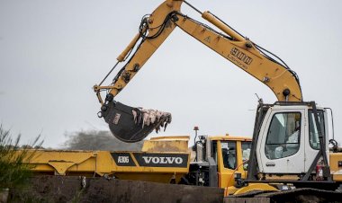 Danimarka'da 17 milyon vizon itlaf edildi