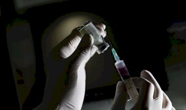 Dünyada Kovid-19'a karşı 120'den fazla aşı üzerinde çalışılıyor