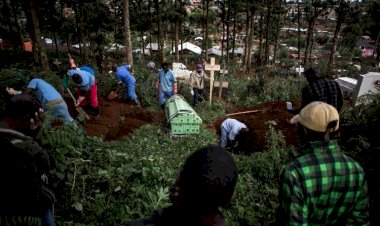Kongo'da bir parkta 29 ceset bulundu