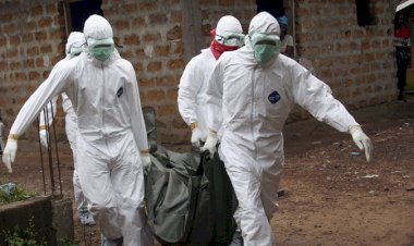 Nijerya'da 'teşhis konulamayan hastalık' nedeniyle 50 kişi öldü