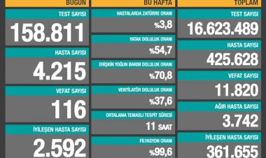 Türkiye'de 116 can kaybı, 4 bin 215 yeni hasta