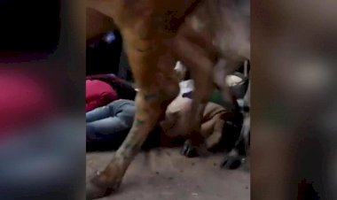 Hindistan'da şaşkına çeviren festival! Birbirlerinin yüzüne inek dışkısı sürdüler