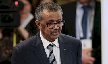 DSÖ Direktörü 'Etiyopya'da Tigray Halk Kurtuluş Cephesi için lobi yaptığı' iddialarını yalanladı