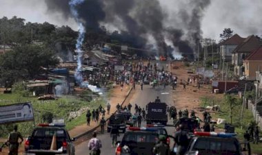 Nijerya'daki polis karşıtı eylem: 94 sivil ve polis öldü