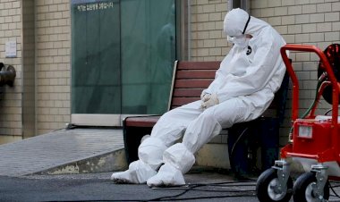 Koronavirüs salgınında son 24 saat