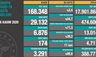 Türkiye'de 174 can kaybı, 29 bin 132 yeni hasta