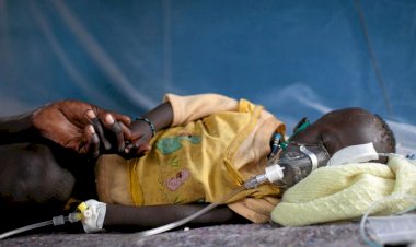 DSÖ: Afrika'da sıtmadan ölenlerin sayısı Covid-19 ölümlerini geçebilir