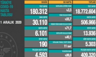 Türkiye'de son 24 saatte 30 bin 110 yeni vaka