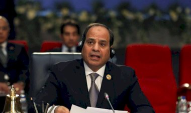 Mısır dikta rejimi insan hakları konusunda Batı'yı test mi ediyor?