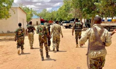 Dubbe: Nairobi, Somali'ye yönelik saldırıların başladığı bir üs haline geldi