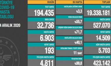 Türkiye'de 193 can kaybı, 32 bin 736 yeni hasta