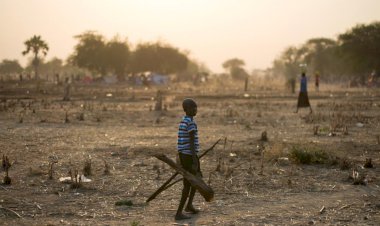 Dünya Gıda Programı'ndan 2021'de 12 ülke için kıtlık uyarısı