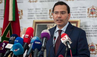 Halfi: Fas Polisario Cephesi'ni Afrika Birliği'nden atacak