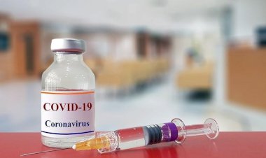 Ülkelerin COVID-19 aşı takvimleri netleşiyor