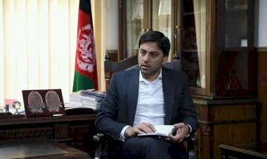 Kabil Vali Yardımcısı Muhibbi bombalı saldırıda öldü