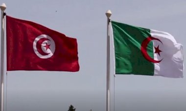 Tunus: Kişisel açıklamalar Cezayir'le ilişkilerimizi bozamaz