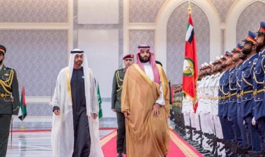 BAE ve Suudi Arabistan Arap Baharı'ndan bu yana bölgede demokrasi karşıtı yapıları destekliyor