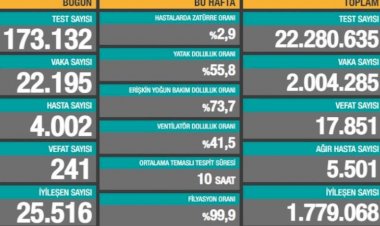 Türkiye'de 241 can kaybı, 22 bin 195 yeni vaka