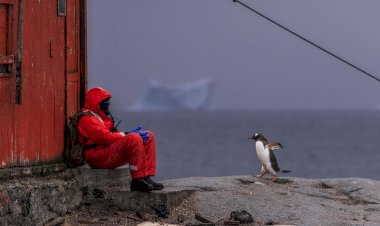 Koronavirüs Antarktika'ya da sıçradı
