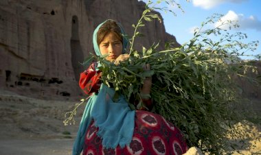 'Açlıktan ağaç yaprağı yiyen çocuklar zehirlendi'