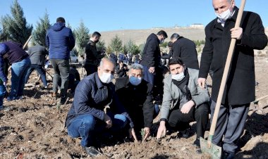 'Şehit Yasin Börü Ormanı'na 20 bin lavanta fidanı dikildi