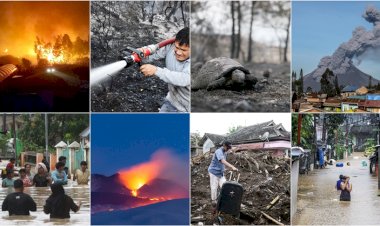 2020'de dünya doğal afetlerle sarsıldı