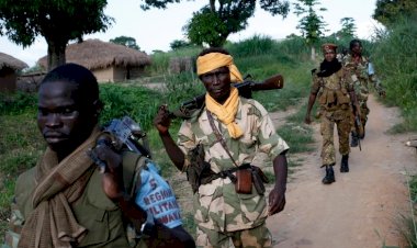 Orta Afrikalı 117 asker komşu Kamerun’a sığındı