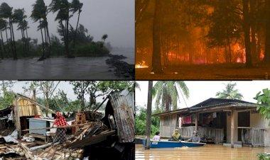 'İklim değişikliğinin etkisi büyüyor'