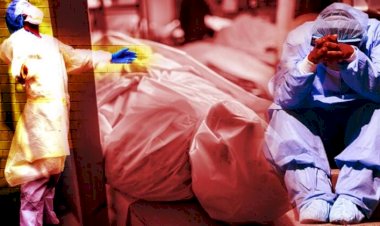 ABD'de Kovid-19'dan ölenlerin sayısı 356 bini geçti