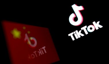 TikTok, siyonist rejimin ihlalleri ile ilgili paylaşım yapan Filistin haber kuruluşunun hesabını sildi