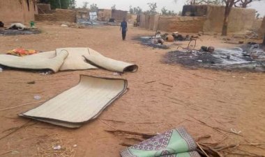 Nijer'de iki köye saldırı: 79 ölü