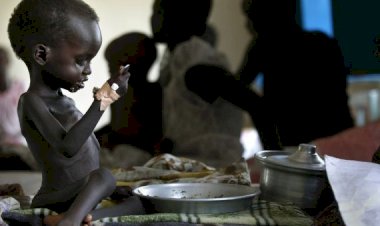 Güney Sudan'da nüfusun yarısından fazlası açlık riskiyle karşı karşıya