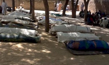 Görgü tanıklarının dilinden Fransa'nın Mali'deki katliamı