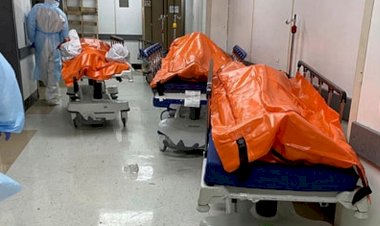 ABD'de Kovid-19'dan ölenlerin sayısı 381 bini geçti