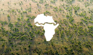 Afrika'da çölleşmeyi durduracak Büyük Yeşil Duvar Girişimi'ne 14 milyar dolar destek