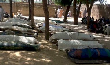 İnsan Hakları İzleme Örgütünden Fransa'nın Mali'deki hava saldırısına ilişkin tarafsız soruşturma çağrısı