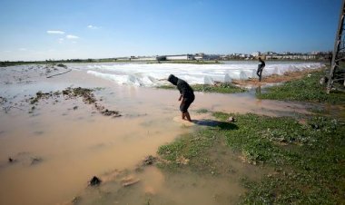 Siyonist rejim Gazze'deki tarım arazilerini sular altında bıraktı