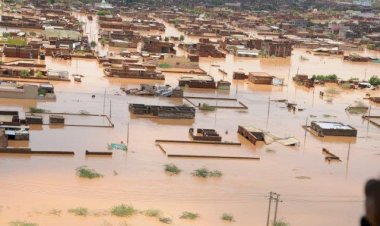 Olağanüstü hava koşulları son 20 yılda 480 bin can aldı