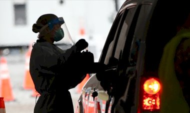 Brezilya'da tespit edilen hızlı bulaşan koronavirüs türü ABD'de görüldü