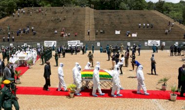 Zimbabve'de 4 bakanın Kovid-19'dan ölmesinin ardından memurlar evden çalışmaya başladı