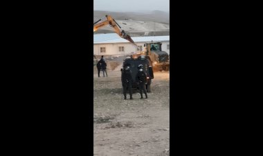 İşgal güçleri Filistin’de bir camiyi yıktı